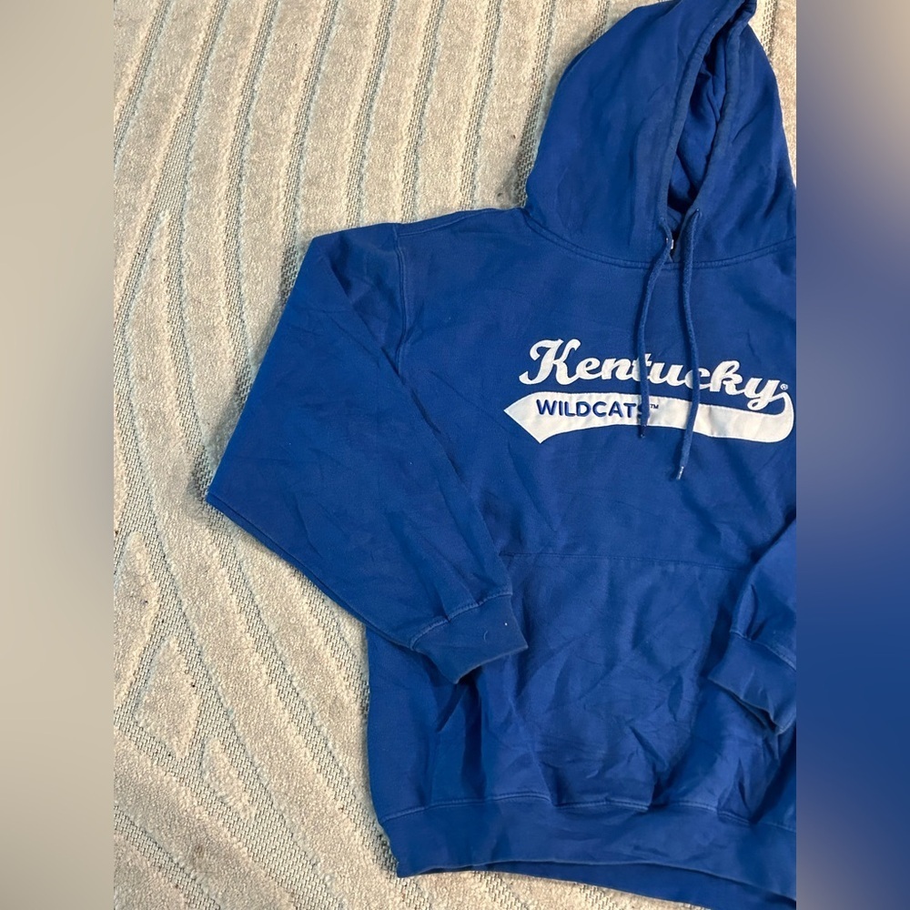 University of Kentucky Wildcats Y2K Style Vintage Hoodie Sweatshirt - L - Picture 2 of 11